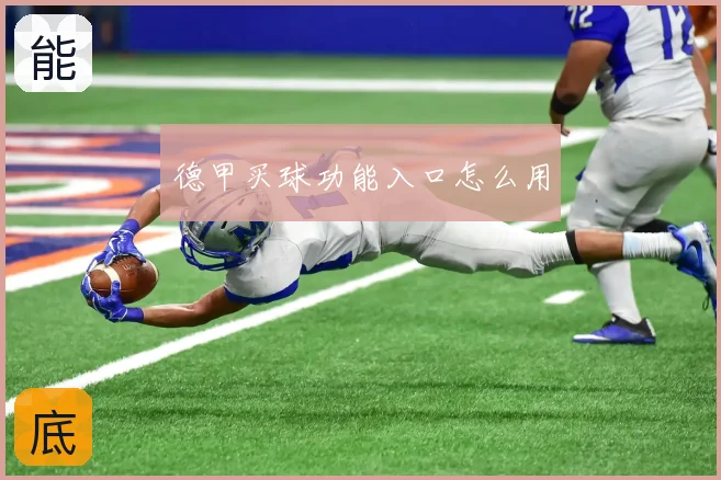 德甲买球功能入口怎么用